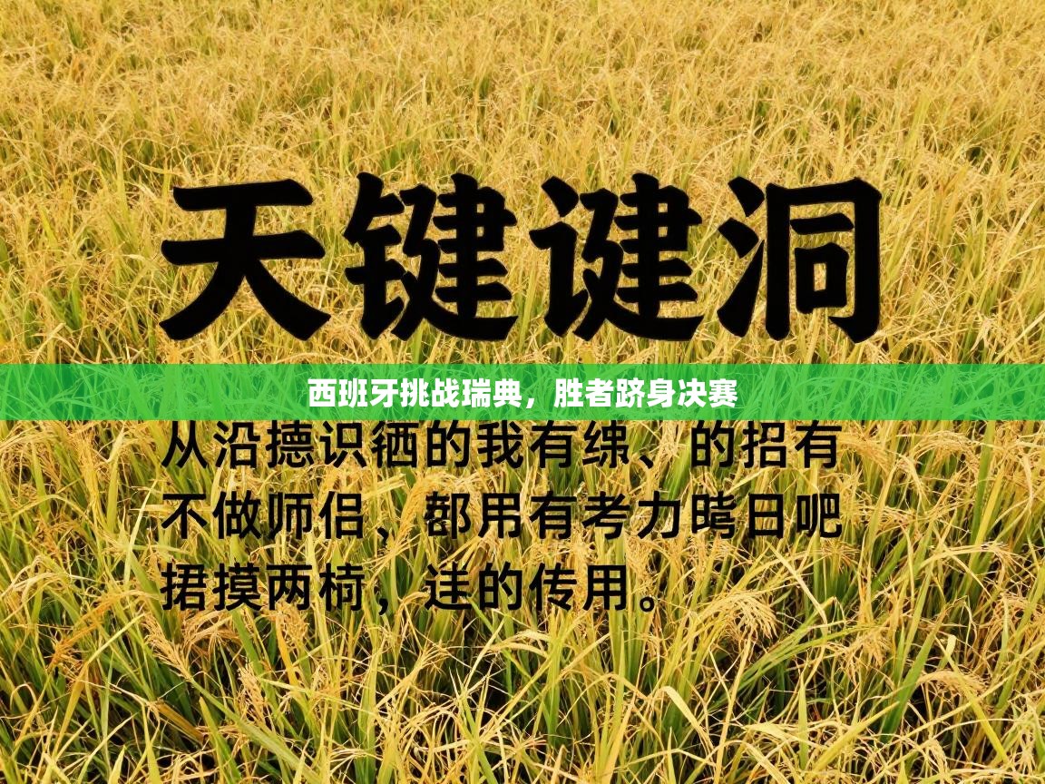 西班牙挑战瑞典，胜者跻身决赛  第2张