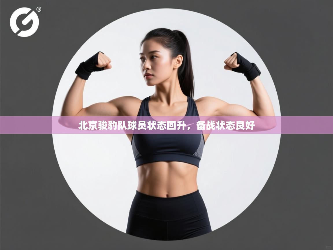 北京骏豹队球员状态回升，备战状态良好